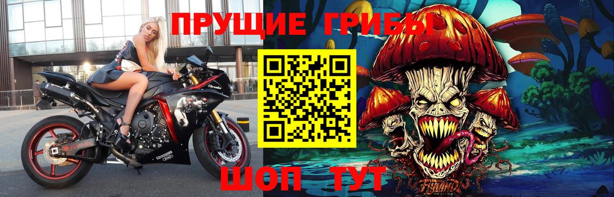 Карталы  Галлюциногенные грибы Psilocybe  Вход с VPN 